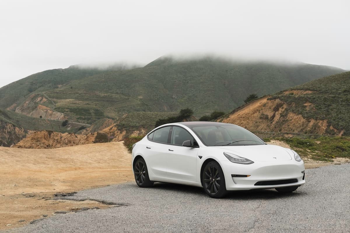 Tesla Model 3 interior showing the screen with Full Self-Driving activated on the road